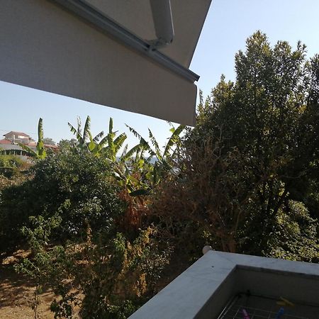 فندق Filanthi Costas Stoúpa المظهر الخارجي الصورة